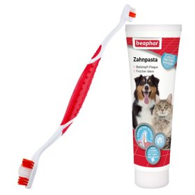 higiene dental perros