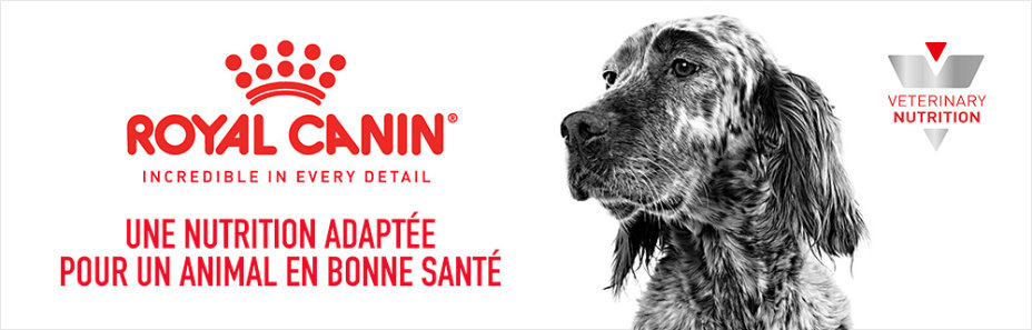Royal Canin Veterinary pour chien