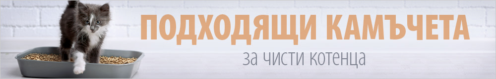 Постелки за котешка тоалетна