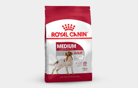 Royal Canin Size pour chien