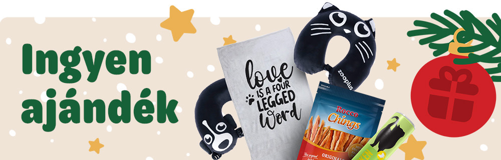 Ingyen ajándék