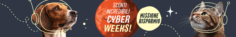 Cyber weeks