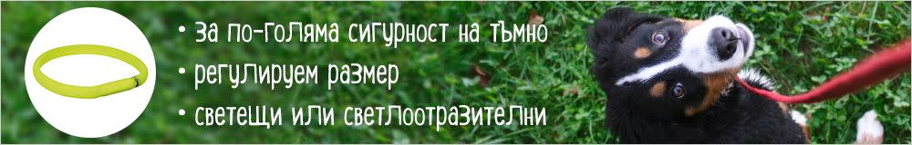 Мигащи светлини и LED нашийници