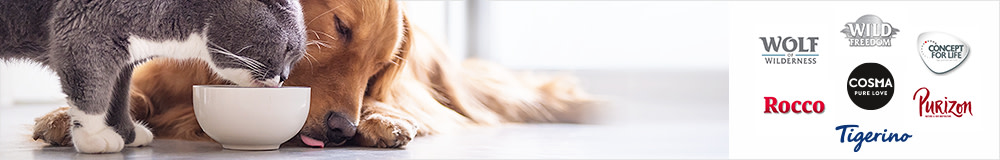 ♥ Nos marques préférées ♥