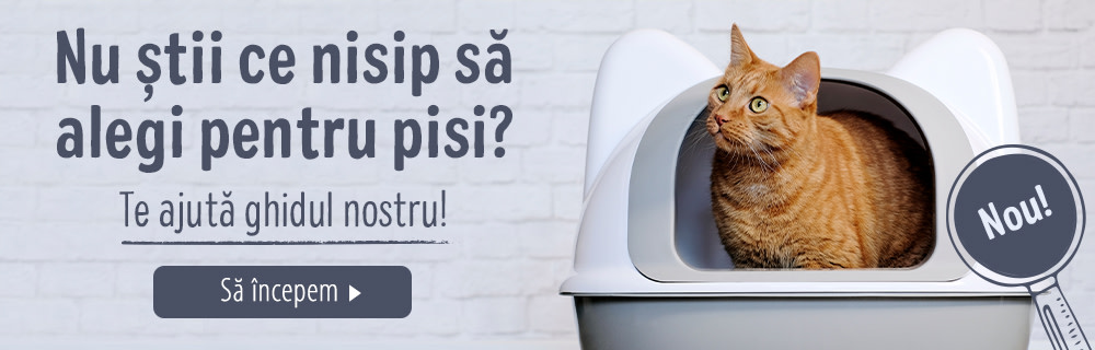 Nu știi ce nisip să alegi pentru pisica ta? Te ajută ghidul nostru!