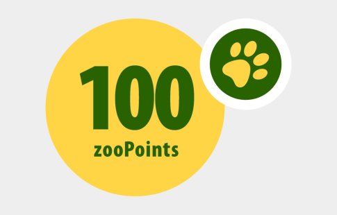100 zooPoints