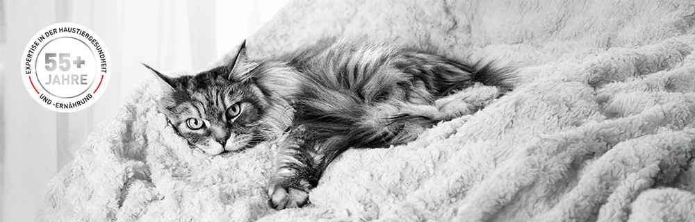 Über 55 Jahre Erfahrung in Tiergesundheit und Wissenschaft 