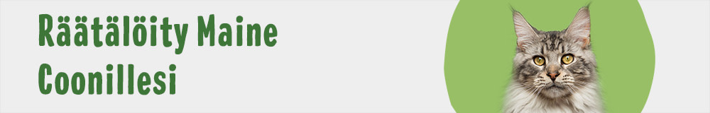 Cat Breed Maine Coon 1000x160 FI