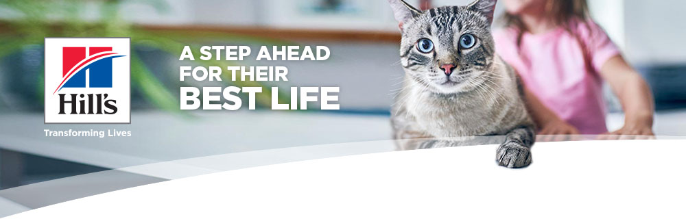 Transforming lives Banner