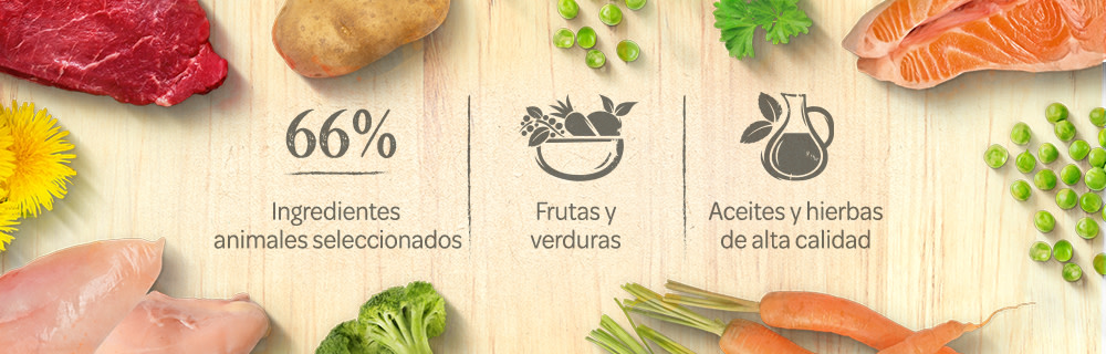 Lukullus comida húmeda para perros