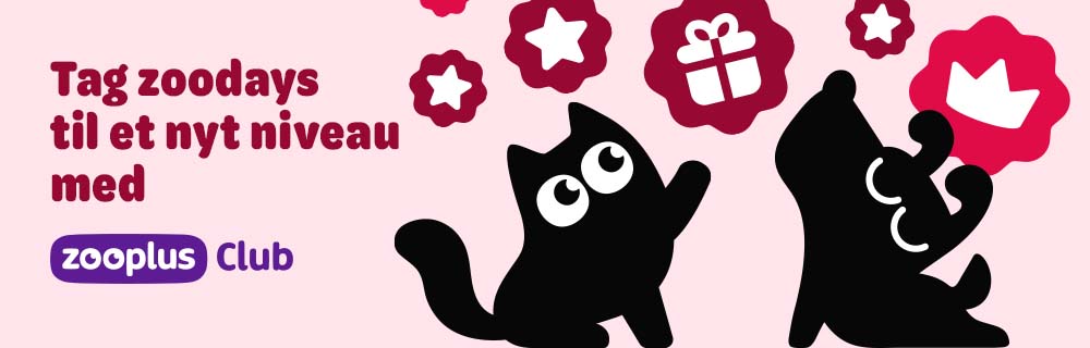 Tag zoodays til et nyt niveau med zooplus Club