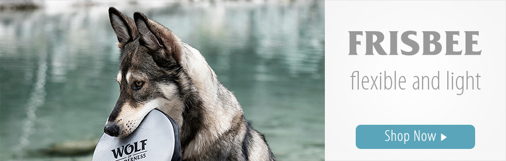 Wolf of Wilderness Dog Frisbee