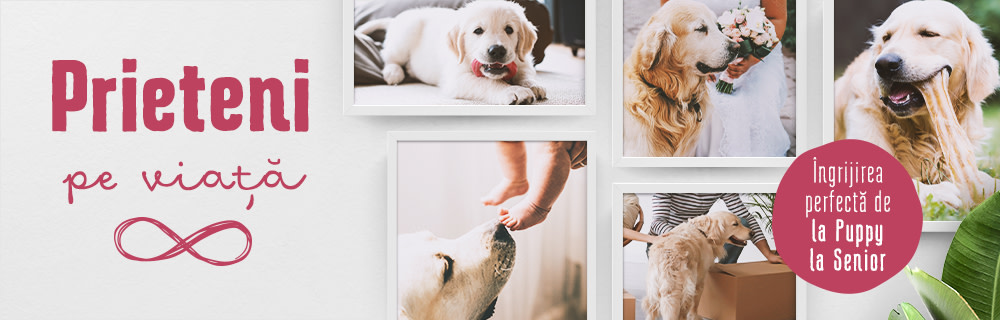 Prieteni pe viață: îngrijire de la Puppy la Senior!