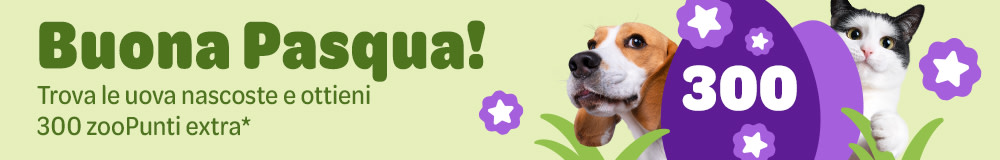 Caccia alle uova: fino a 300 zooPunti per te!
