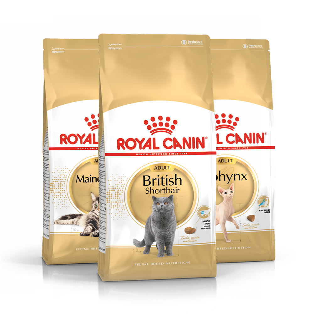 Royal canin españa sale