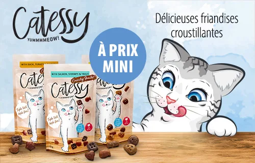 Catessy Snacks prix mini