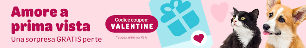 Un regalo di San Valentino per te e il tuo Pet.