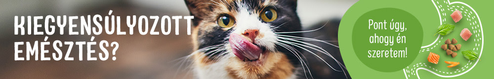 A jó emésztésért