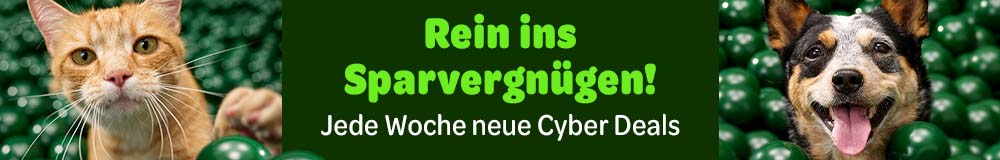 Rein ins Sparvergnügen - Jede Woche neue Cyber Deals