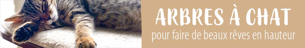 Arbre à chat