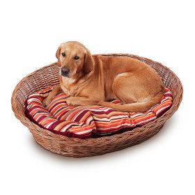 Oval Dog Beds