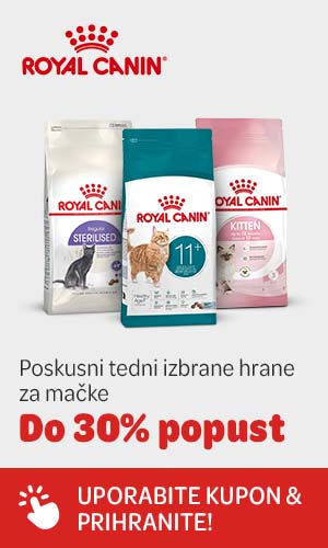 Royal Canin poskusni tedni izbrane hrane za mačke. Do 30% popust. UPORABITE KUPON & PRIHRANITE!