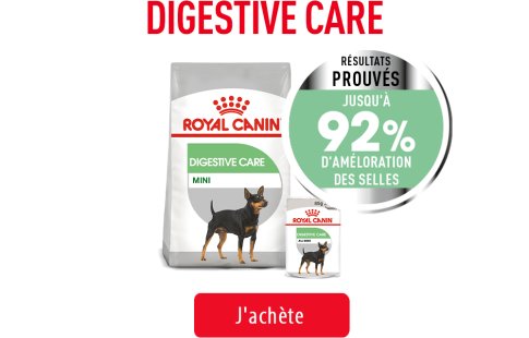Royal Canin Canine Care Subpage - Grid Digestive Care Image