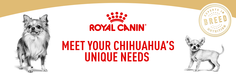 Free Royal Canin Chihuahua Box zooplus UK