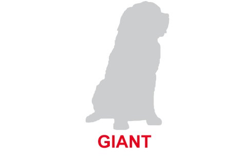 Royal canin Giant perros