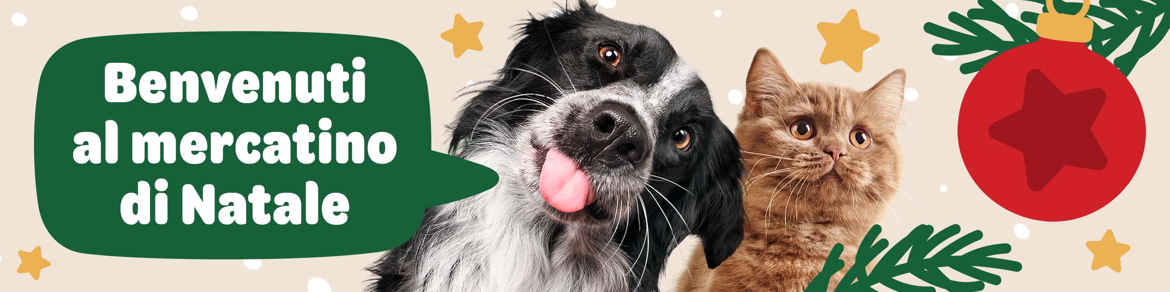 Scopri il nostro Mercatino di Natale