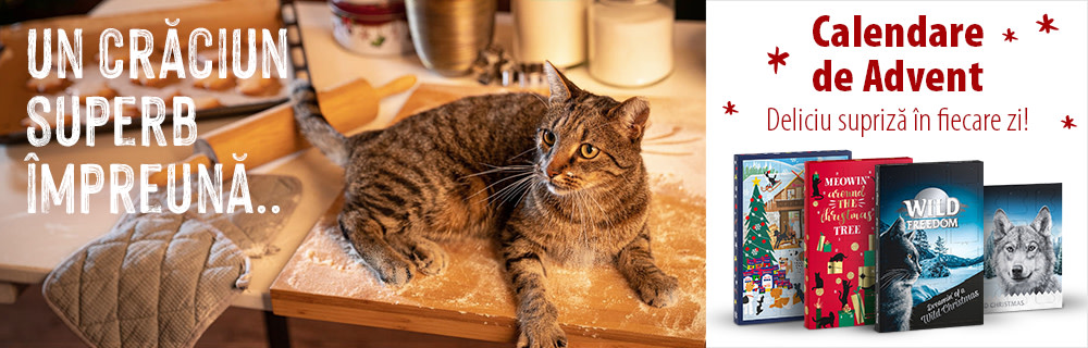 Calendare de Advent pentru pisici!