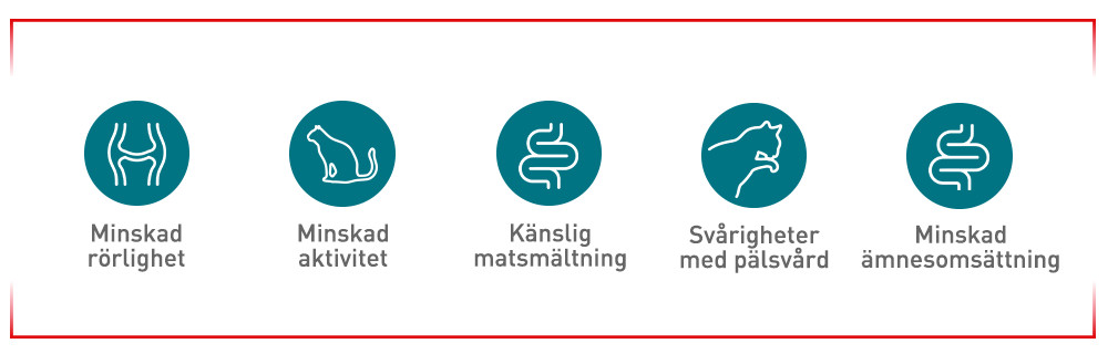 Tecken man bör vara uppmärksam på