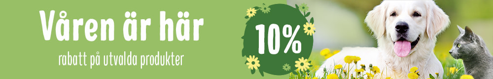 Säsongens bästa varor för hundar, katter och smådjur