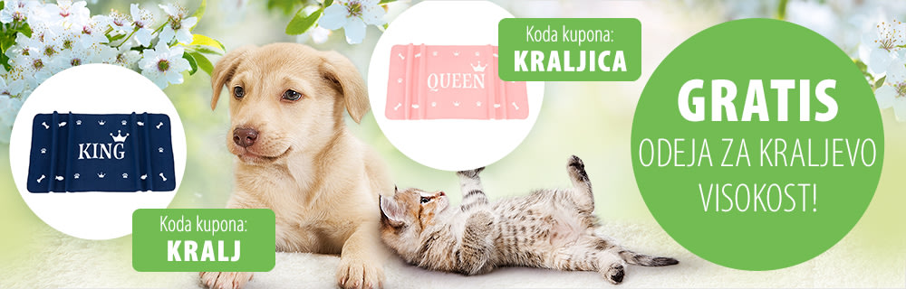 Kraljeva odeja gratis