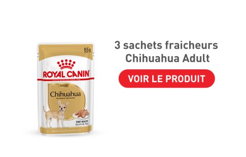 Découvrez les sachets fraicheur Royal Canin Chihuahua