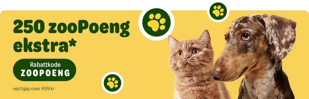 Få ekstra zooPoeng på kjøpet