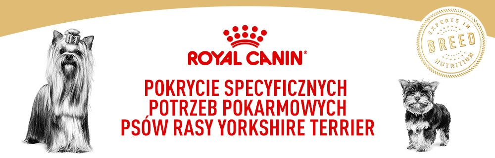 Pokrycie specyficznych potrzeb pokarmowych psów rasy yorkshire terrier