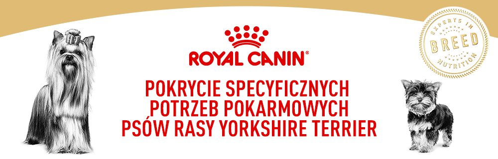 Pokrycie specyficznych potrzeb pokarmowych psów rasy yorkshire terrier