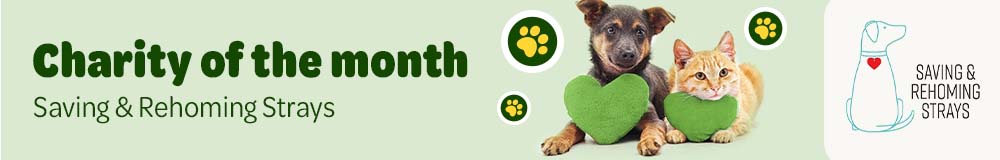 Charity of the Month: Saving & Rehoming Strays