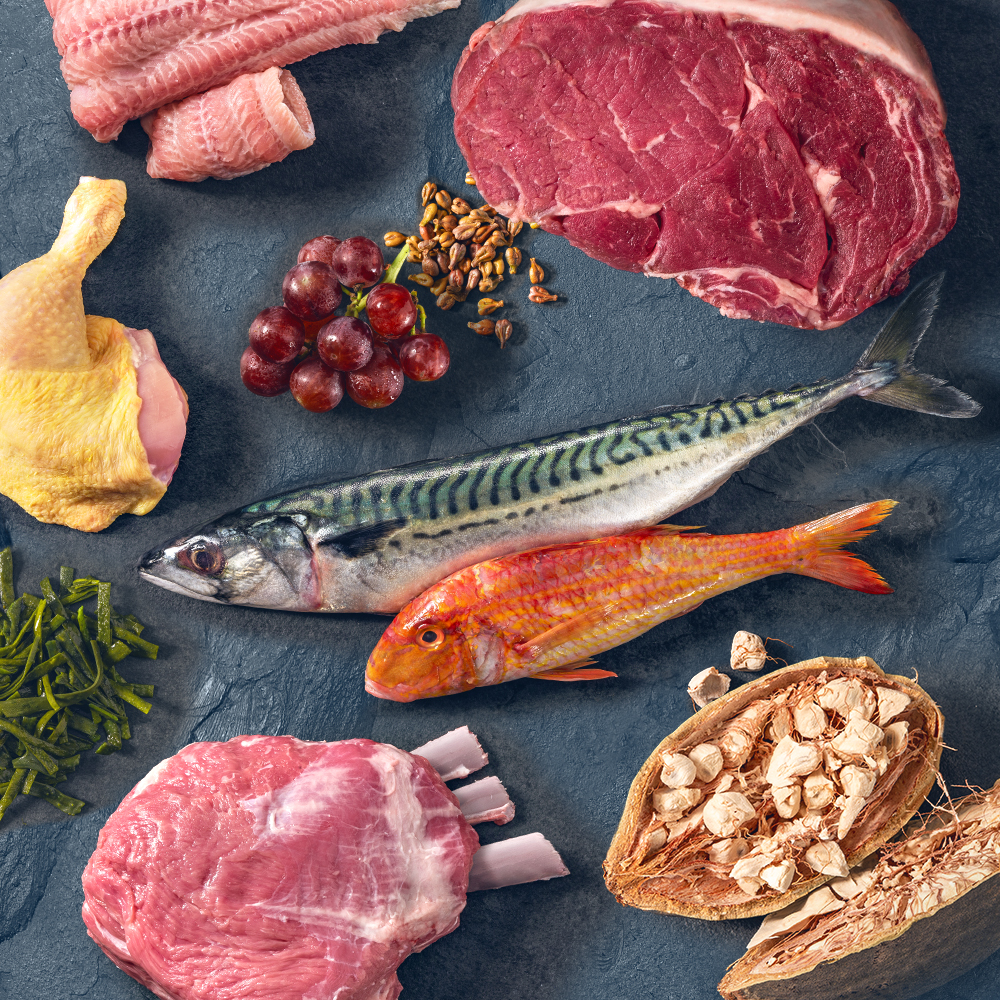 Wild Freedom pienso, comida húmeda y snacks para gatos zooplus