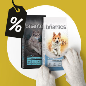14 kg in 12 kg Briantos suha hrana za pse po posebni ceni