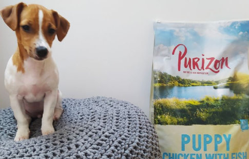 Purizon, hrana ideală pentru câini fericiți!