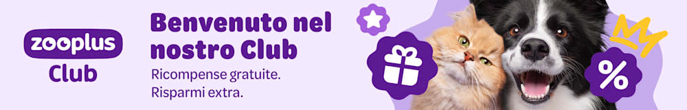 Scopri il nuovo piano lealtà di zooplus: sconti, ricompense e molto altro.