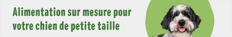 Alimentation sur mesure pour votre chien de petite taille