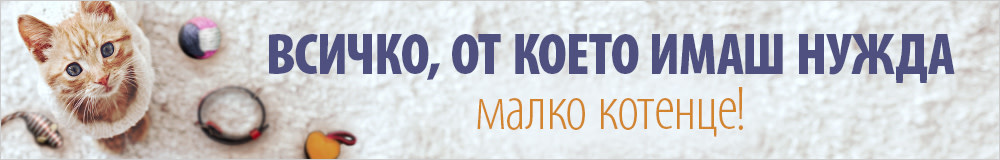 Комплекти за котенца