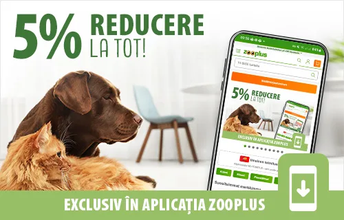 5% discount la Tooot exclusiv din Aplicație 📱!