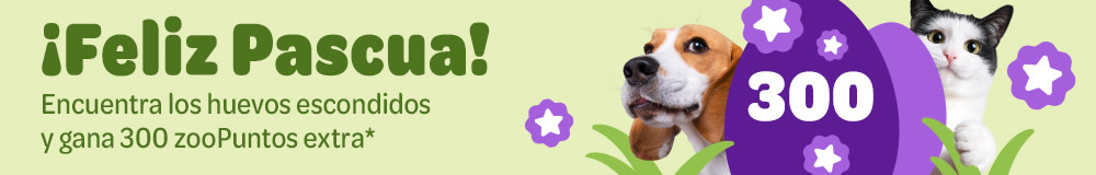 300 zooPuntos gratis si encuentras los huevos escondidos por la web