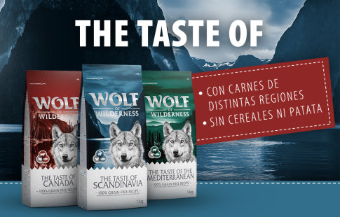 Pienso Wolf of Wilderness The Taste Of