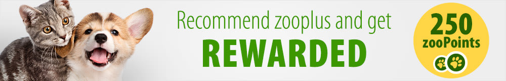 Refer a Friend and get rewarded at zooplus.co.uk!