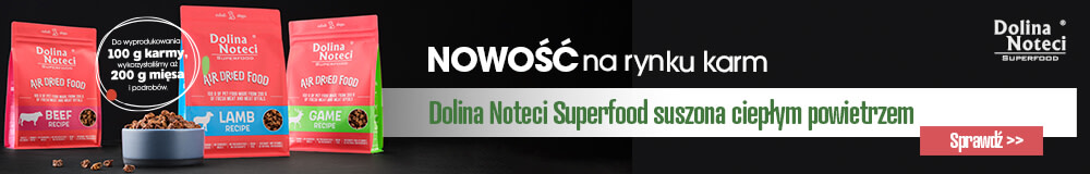 Dolina Noteci